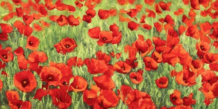 Poppy Field by Silvia Mei art print