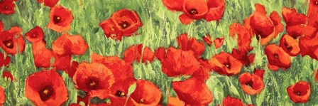 Poppy Field (Detail) by Silvia Mei art print