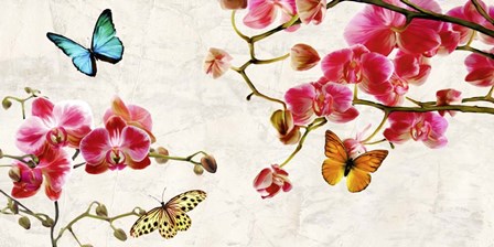 Orchids &amp; Butterflies by Teo Rizzardi art print