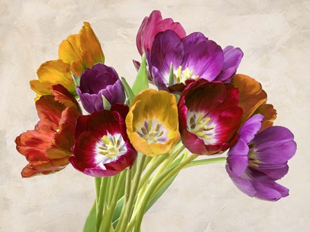 Tulipani Danzanti by Teo Rizzardi art print