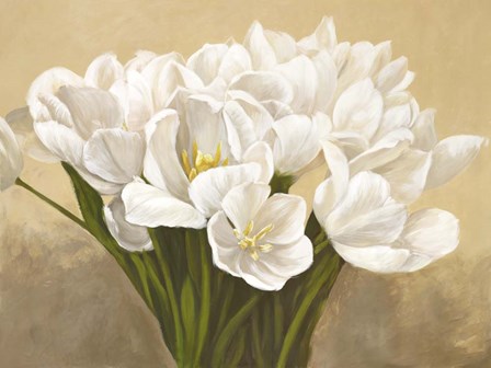 Tulipes Blanches by Leonardo Sanna art print