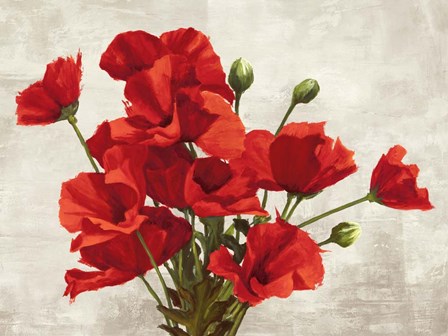 Bouquet of Poppies by Jenny Thomlinson art print