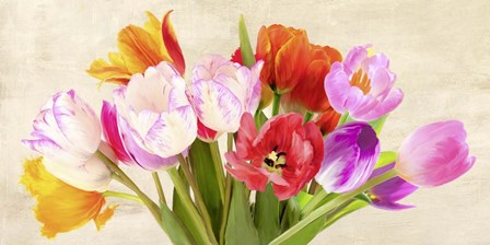 Tulips in Spring by Luca Villa art print