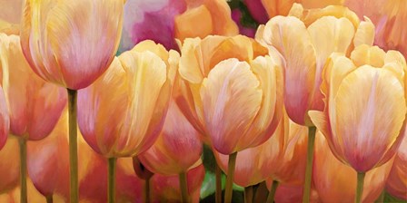 Summer Tulips by Luca Villa art print
