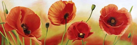 Poppies in the Wind by Luca Villa art print