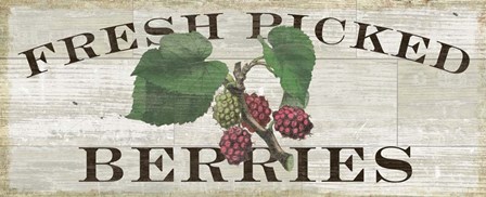 Farm Fresh Berries by Sue Schlabach art print