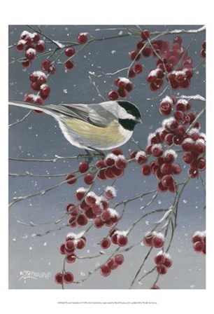Winter Chickadees I by Fred Szatkowski art print