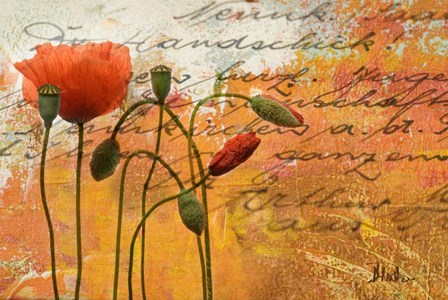 Poppies Composition I by Patricia Pinto art print