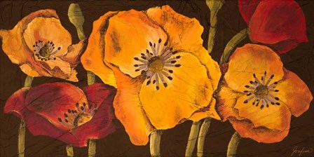 Dazzling Poppies II (black background) by Josefina art print