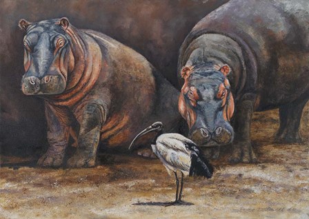 Baby Hippos by Peter Blackwell art print