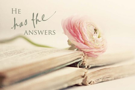 He has the Answers by Sarah Gardner art print
