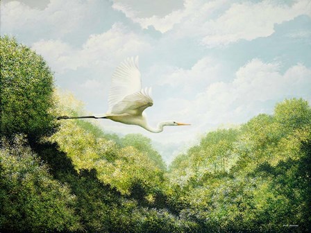 Egret by Bruce Nawrocke art print