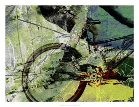 Mountain Bike by Sisa Jasper art print
