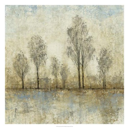 Quiet Nature III by Timothy O&#39;Toole art print