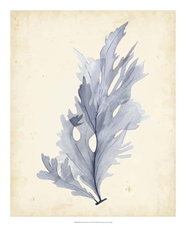 Watercolor Sea Grass VI by Grace Popp art print