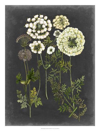 Bookplate Floral II by Naomi McCavitt art print