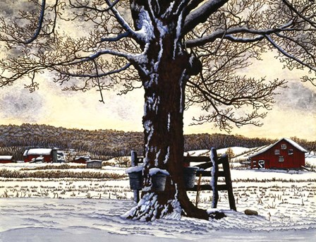 Syrup Buckets by Thelma Winter art print