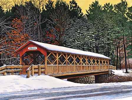 Allegany State Park by Thelma Winter art print