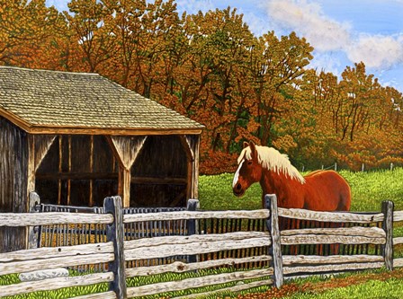 Old Horse Shed, Mumford Ny by Thelma Winter art print