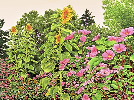 Sunflower Quartet by Thelma Winter art print