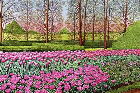 Tulips At Longwood Gardens I, Kennett Square Pa by Thelma Winter art print
