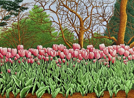Tulips At Longwood Gardens Vi, Kennett Square, Pa by Thelma Winter art print
