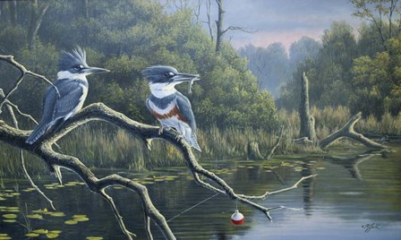 Fisherman's Luck, Belted Kingfishers by Wilhelm J. Goebel art print
