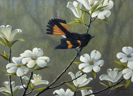 Redstart &amp; Dogwood by Wilhelm J. Goebel art print