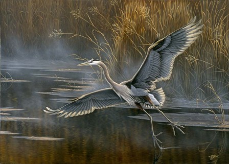 Misty Flight by Wilhelm J. Goebel art print