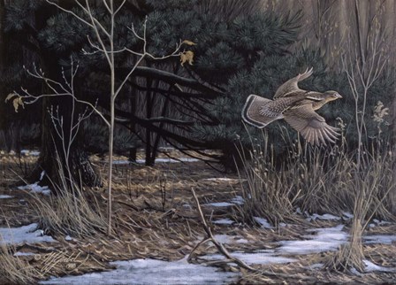 Grouse On The Wing by Wilhelm J. Goebel art print