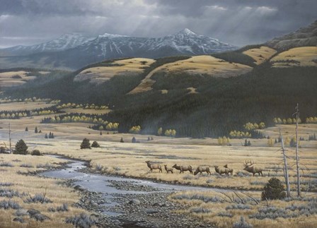 Big Valley Elk by Wilhelm J. Goebel art print