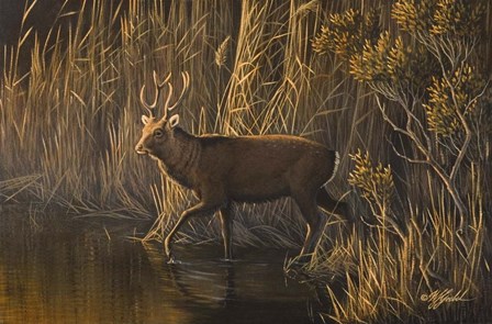 Evening Rounds Sika Deer by Wilhelm J. Goebel art print