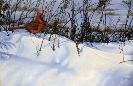 Winter Cardinal by Wilhelm J. Goebel art print