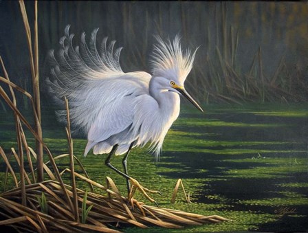 White Splendor by Wilhelm J. Goebel art print