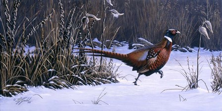 Heading For Cover by Wilhelm J. Goebel art print