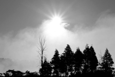 Sunfire by Willow Way Studios, Inc. art print