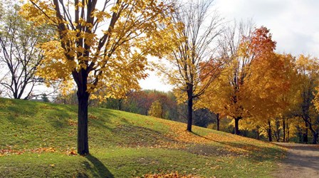 Sunlight And Shadows by Willow Way Studios, Inc. art print