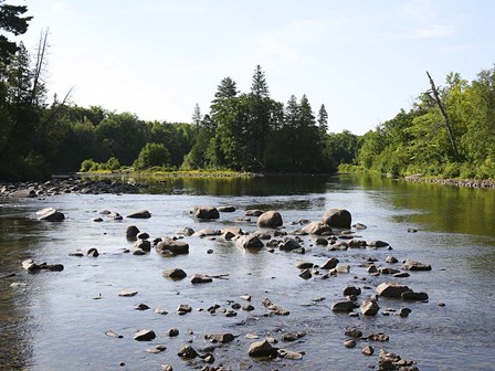 Chippewa Summer I by Willow Way Studios, Inc. art print