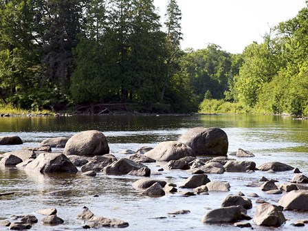 Chippewa Summer II by Willow Way Studios, Inc. art print