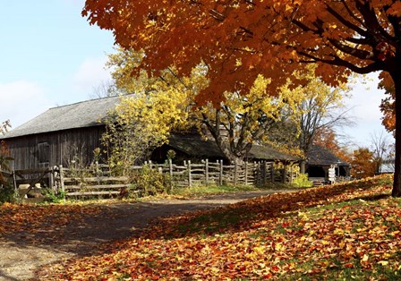 Yesteryear by Willow Way Studios, Inc. art print