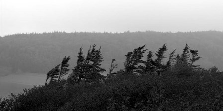 View from the Cape II by Willow Way Studios, Inc. art print