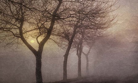 Early Morning by Cora Niele art print