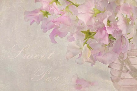 Sweet Pea by Cora Niele art print