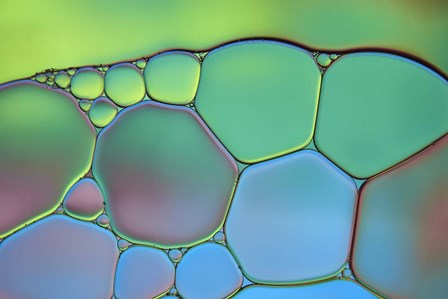 Lime Green and Blue Stained Glass by Cora Niele art print