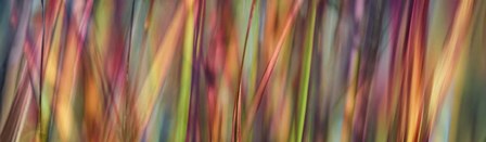 Grass Spectrography by Cora Niele art print