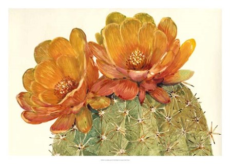 Cactus Blossoms II by Timothy O&#39;Toole art print