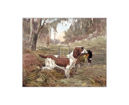 Springer and Pheasant by Reuben ward Binks art print