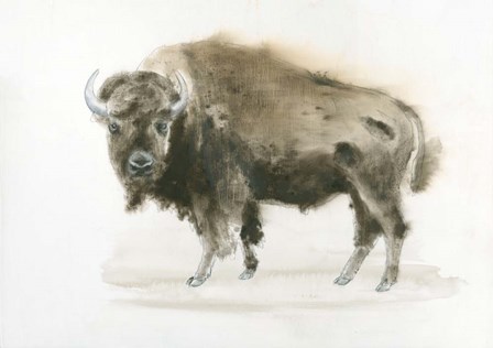 Buffalo Bill by James Wiens art print