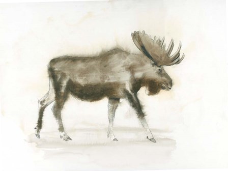 Dark Moose by James Wiens art print