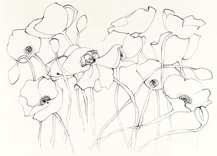 Black Line Poppies III by Shirley Novak art print